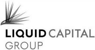LIQUID CAPITAL GROUP logo