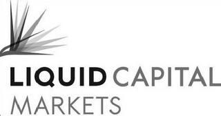 LIQUID CAPITAL MARKETS logo