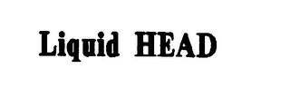 LIQUID HEAD logo
