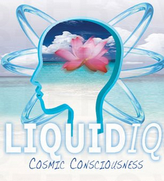 LIQUID IQ COSMIC CONSCIOUSNESS logo