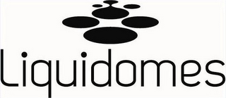 LIQUIDOMES logo