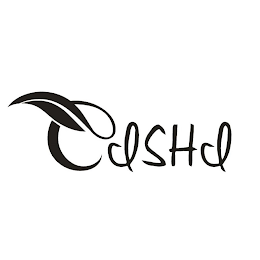 LISHI logo