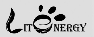 LITENERGY logo