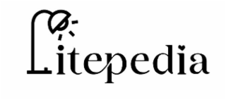 LITEPEDIA logo