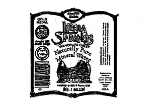 LITHIA SPRINGS NATURAL MINERAL WATER FAMOUS MARBLE PAVILLION logo