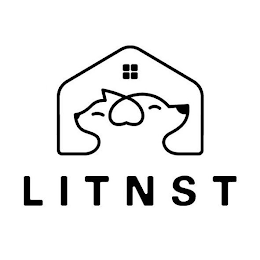 LITNST logo