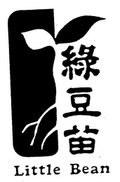LITTLE BEAN logo
