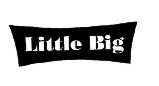 LITTLE BIG logo
