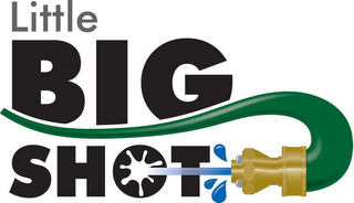 LITTLE BIG SHOT logo