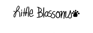 LITTLE BLOSSOMS logo