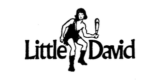 LITTLE DAVID logo