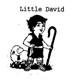 LITTLE DAVID logo