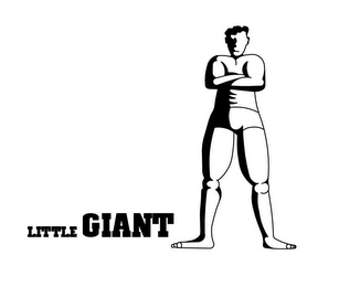 LITTLE GIANT logo