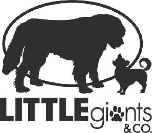 LITTLE GIANTS & CO. logo