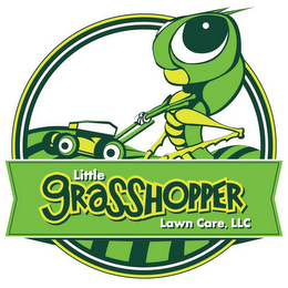 LITTLE GRASSHOPPER LAWN CARE, LLC logo
