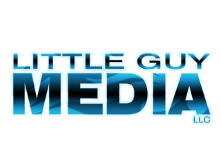 LITTLE GUY MEDIA LLC logo