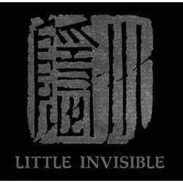 LITTLE INVISIBLE logo