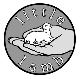 LITTLE LAMB logo