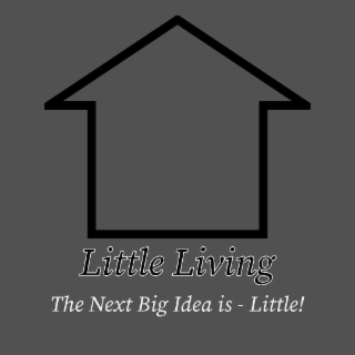 LITTLE LIVING THE NEXT BIG IDEA IS - LITTLE! logo
