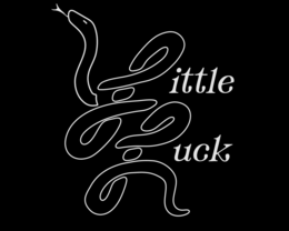 LITTLE LUCK logo