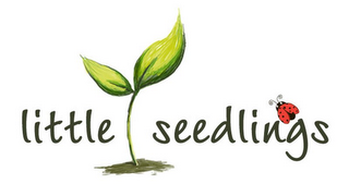 LITTLE SEEDLINGS logo