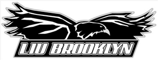 LIU BROOKLYN logo