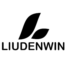 LIUDENWIN logo