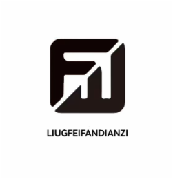 LIUGFEIFANDIANZI logo