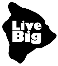 LIVE BIG logo