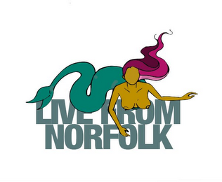 LIVE FROM NORFOLK logo