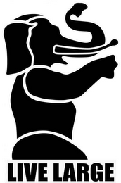 LIVE LARGE logo