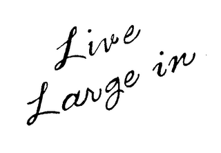 LIVE LARGE IN logo