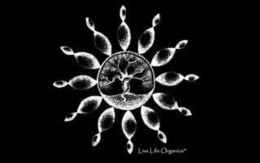 LIVE LIFE ORGANICS logo