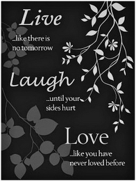 LIVE... LIKE THERE IS NO TOMORROW LAUGH... UNTIL YOUR SIDES HURT LOVE... LIKE YOU HAVE NEVER LOVED BEFORE logo