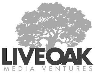 LIVE OAK MEDIA VENTURES logo