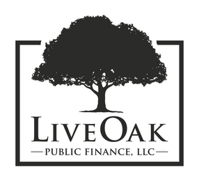 -LIVE OAK PUBLIC FINANCE, LLC- logo
