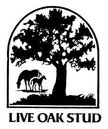 LIVE OAK STUD logo
