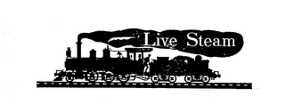 LIVE STEAM logo