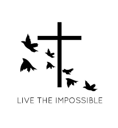LIVE THE IMPOSSIBLE logo