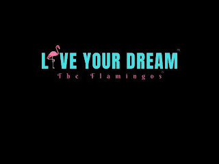 LIVE YOUR DREAM THE FLAMINGOS logo