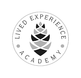 · LIVED EXPERIENCE · ACADEMY logo