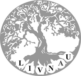 LIVNAU logo