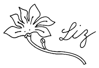 LIZ logo