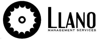 LLANO MANAGEMENT SERVICES logo