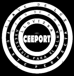 LLAVE DE LUZ FUENTE PERFECTA OJOS DE AMOR ANESTESIA PARA EL ALMA LLOVIZNA CEEPORT logo