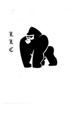 LLC logo