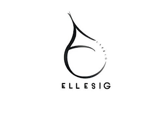 LLESIG ELLESIG logo