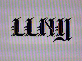 LLNY logo