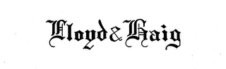 LLOYD & HAIG logo