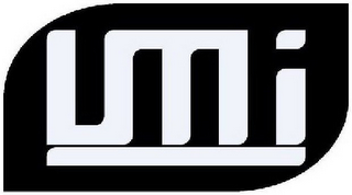LMI logo